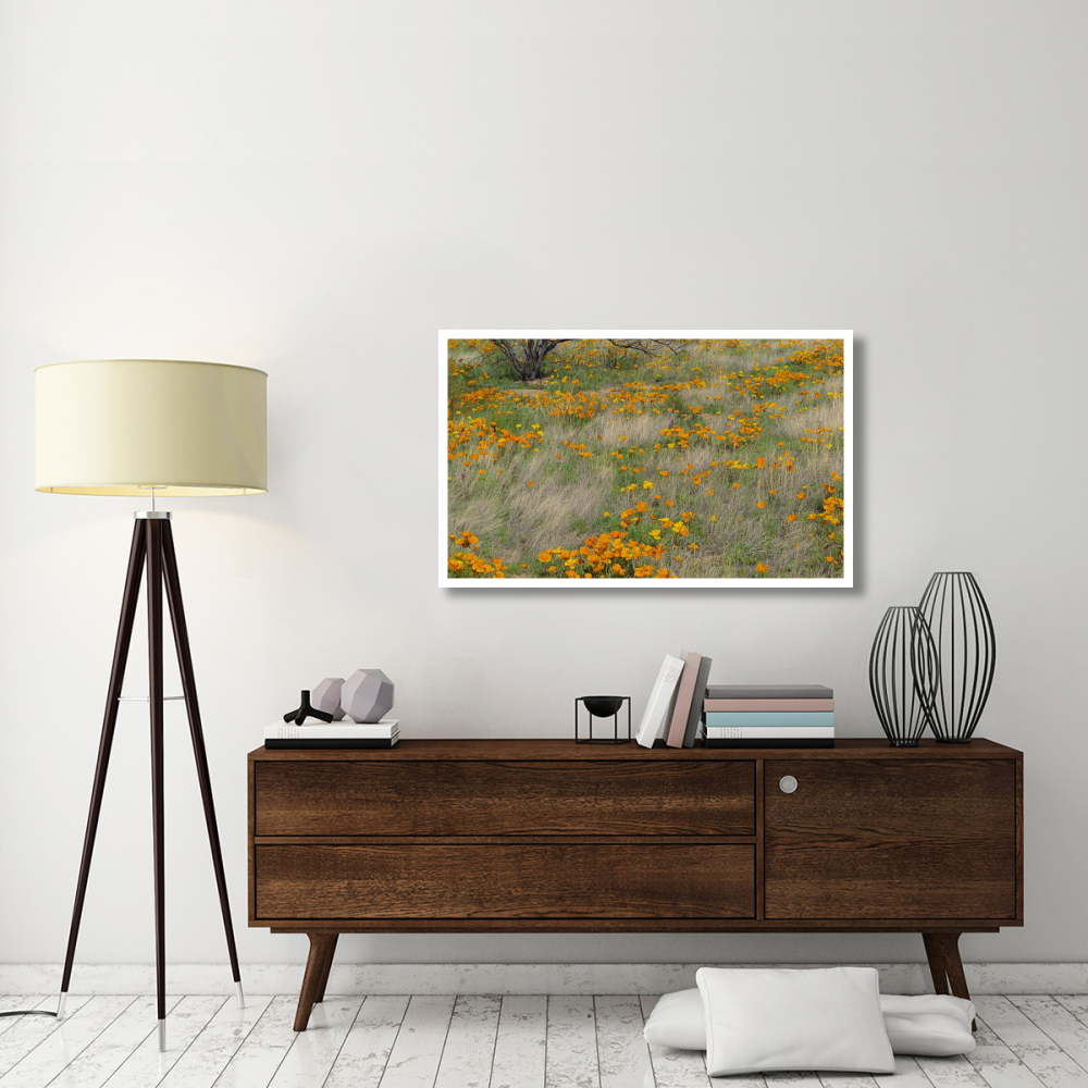 California Poppy meadow with grasses, California-Paper Art-46&quotx28.4"