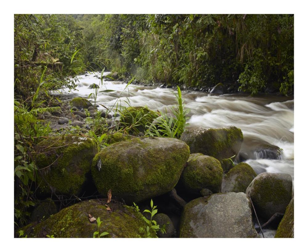 Mindo River flowing through cloud forest, Ecuador-Paper Art-22"x18"