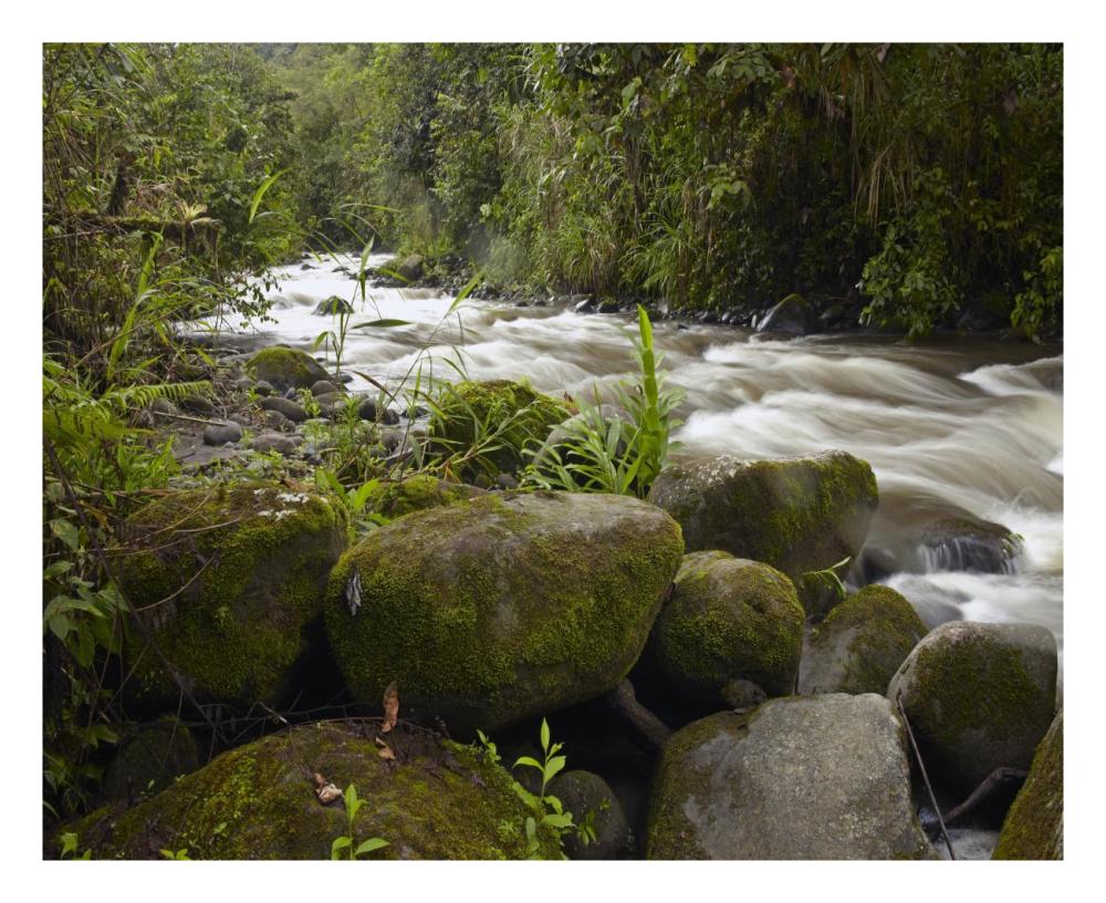 Mindo River flowing through cloud forest, Ecuador-Paper Art-26"x22"