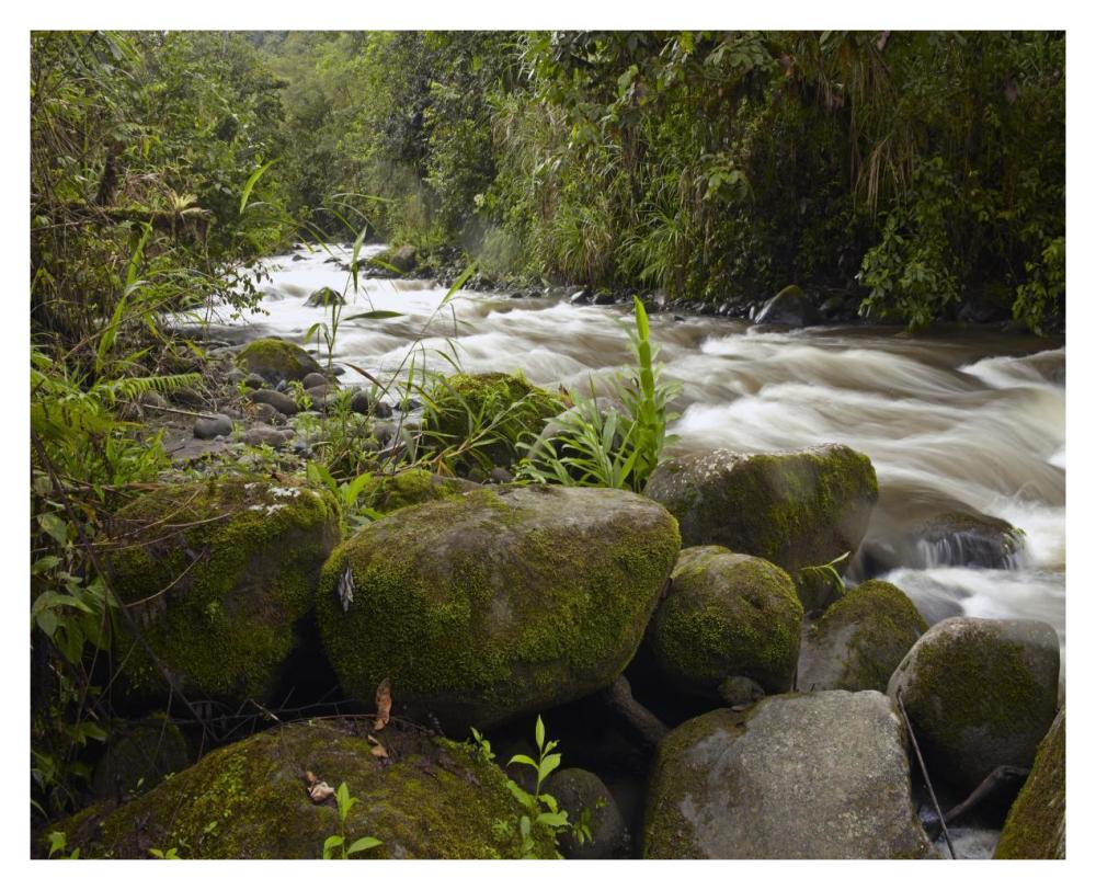 Mindo River flowing through cloud forest, Ecuador-Paper Art-37"x30"