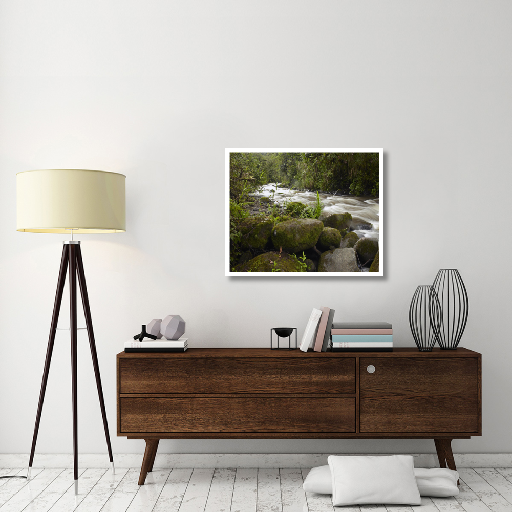 Mindo River flowing through cloud forest, Ecuador-Paper Art-37&quotx30"