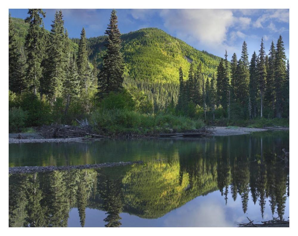 Pine River, Hart Ranges, British Columbia, Canada-Paper Art-18"x14"