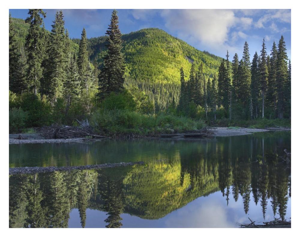Pine River, Hart Ranges, British Columbia, Canada-Paper Art-34"x26"