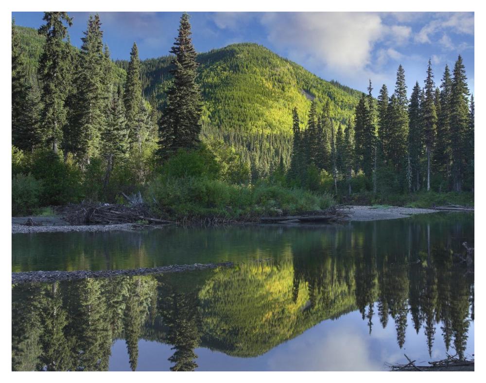 Pine River, Hart Ranges, British Columbia, Canada-Paper Art-42"x32"