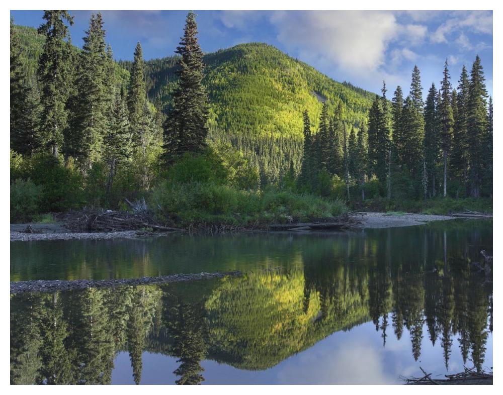 Pine River, Hart Ranges, British Columbia, Canada-Paper Art-50"x38"