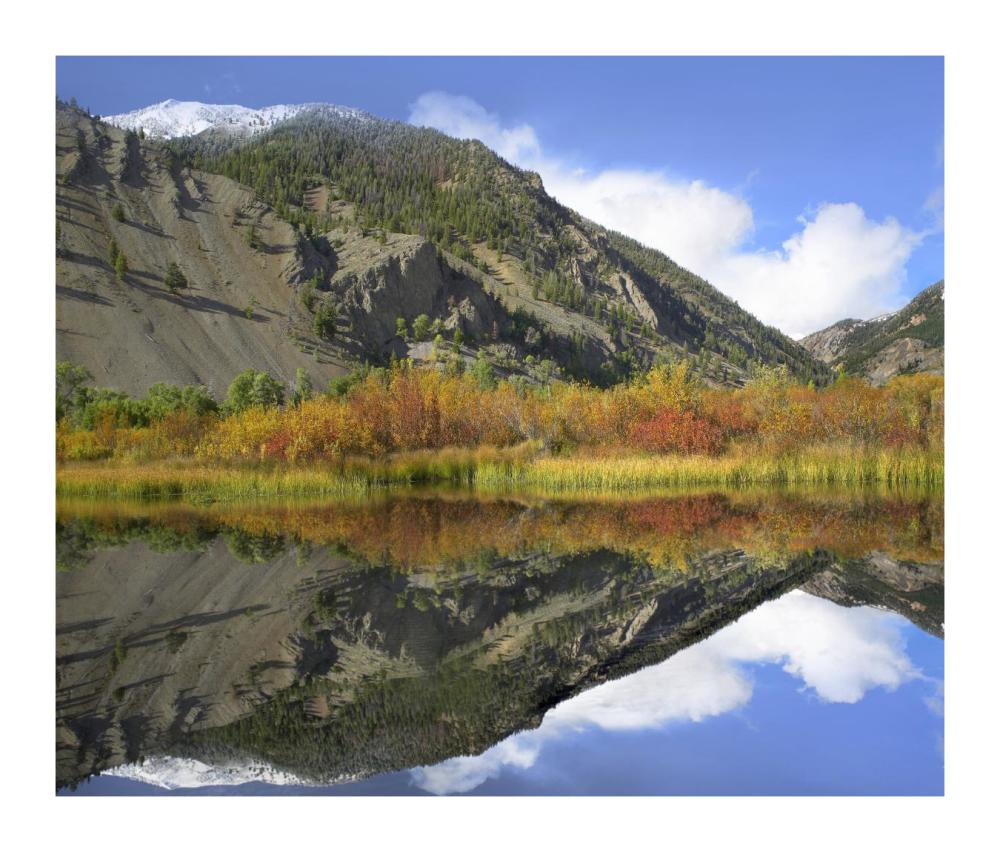 Boulder Mountains reflected in beaver pond, Idaho-Paper Art-18"x15.28"