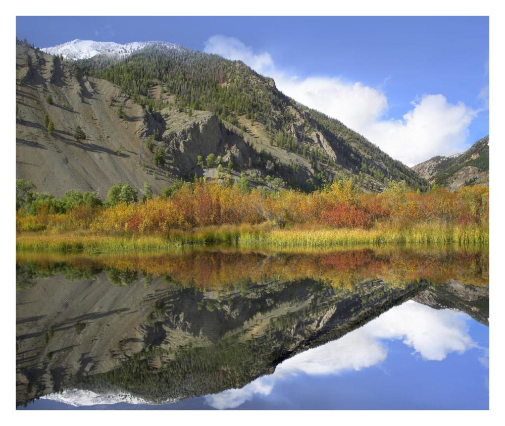 Boulder Mountains reflected in beaver pond, Idaho-Paper Art-32"x26.9"