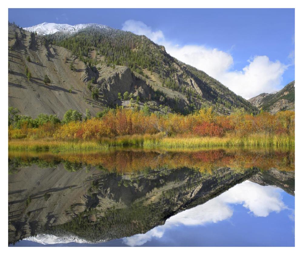 Boulder Mountains reflected in beaver pond, Idaho-Paper Art-38"x31.88"