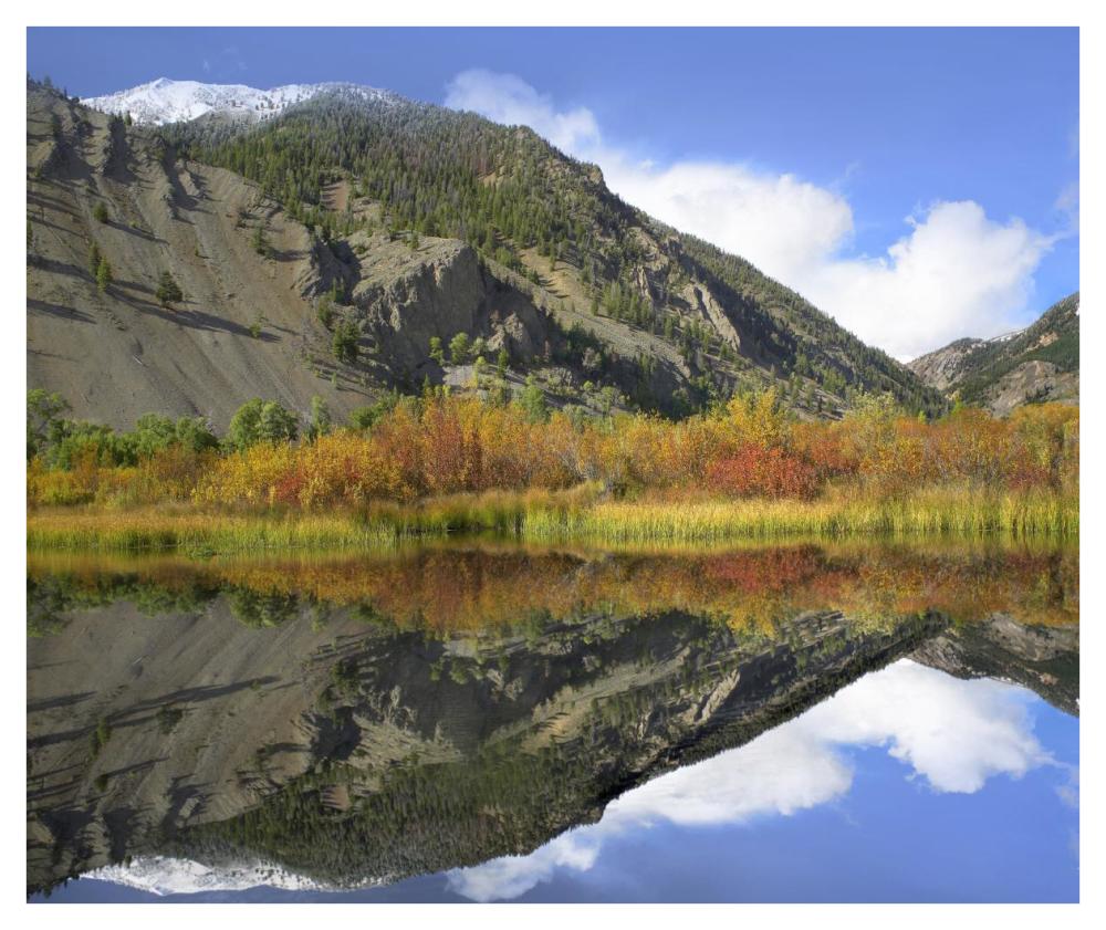 Boulder Mountains reflected in beaver pond, Idaho-Paper Art-42"x35.2"