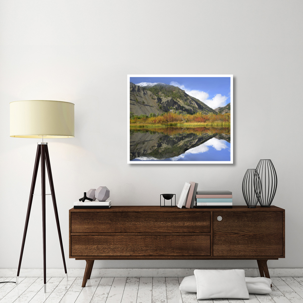 Boulder Mountains reflected in beaver pond, Idaho-Paper Art-42&quotx35.2"