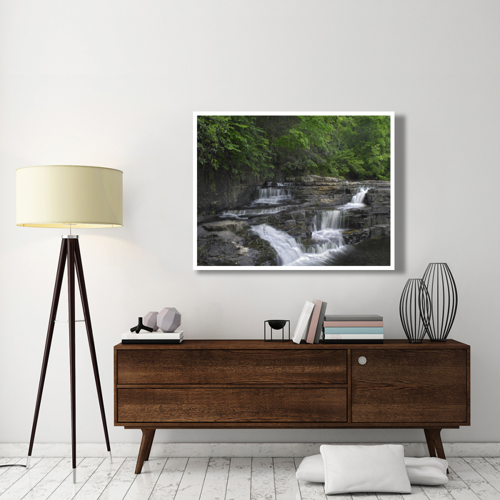 Dismal Falls, Jefferson National Forest, Virginia-Paper Art-50&quotx38"