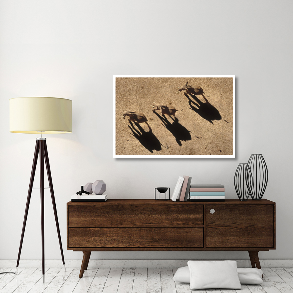 African Elephant trio aerial with shadows, Africa-Paper Art-50&quotx34"