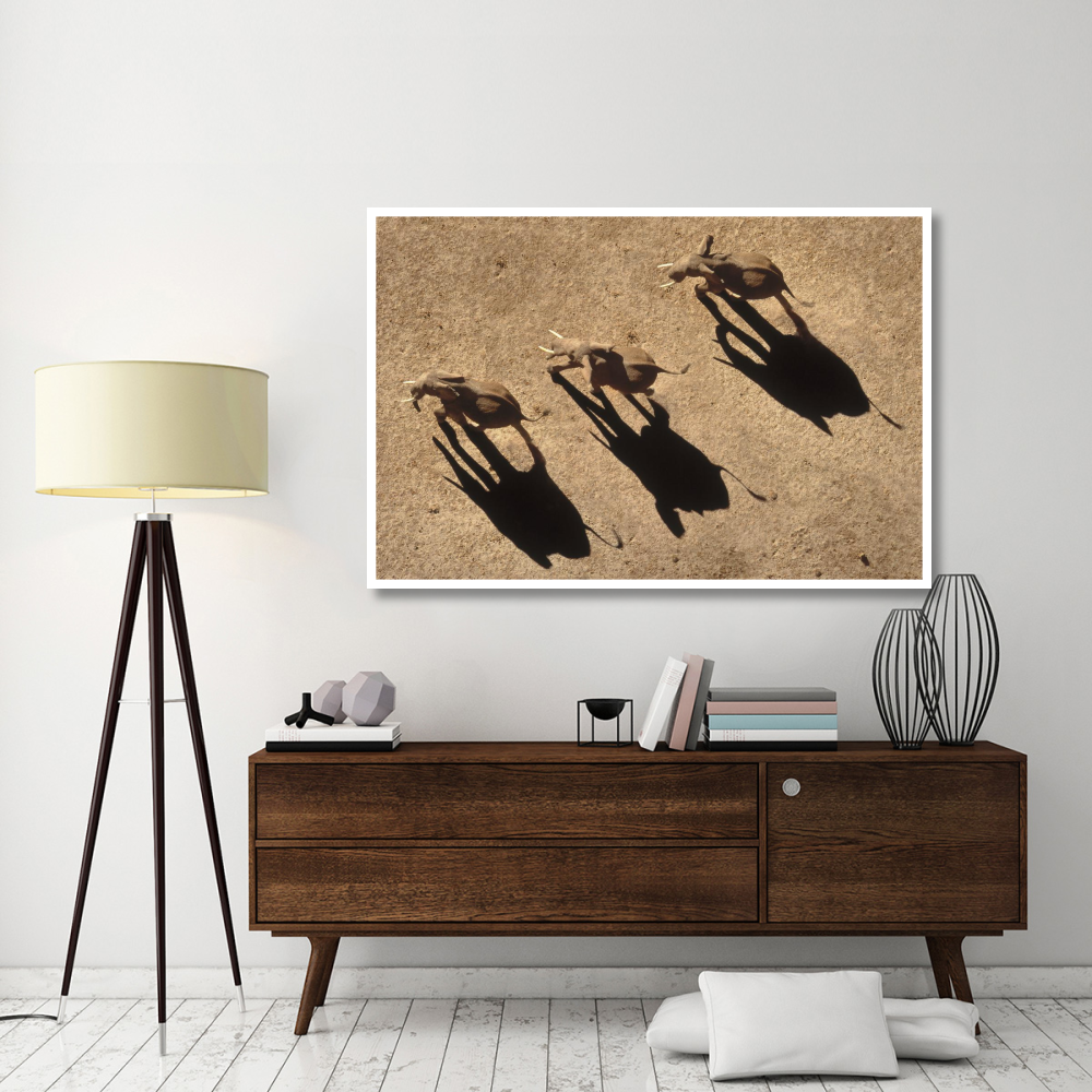 African Elephant trio aerial with shadows, Africa-Paper Art-62&quotx42"