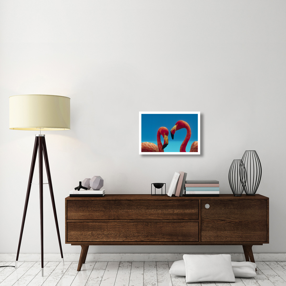 Greater Flamingo courting pair, Caribbean species-Paper Art-26&quotx18"