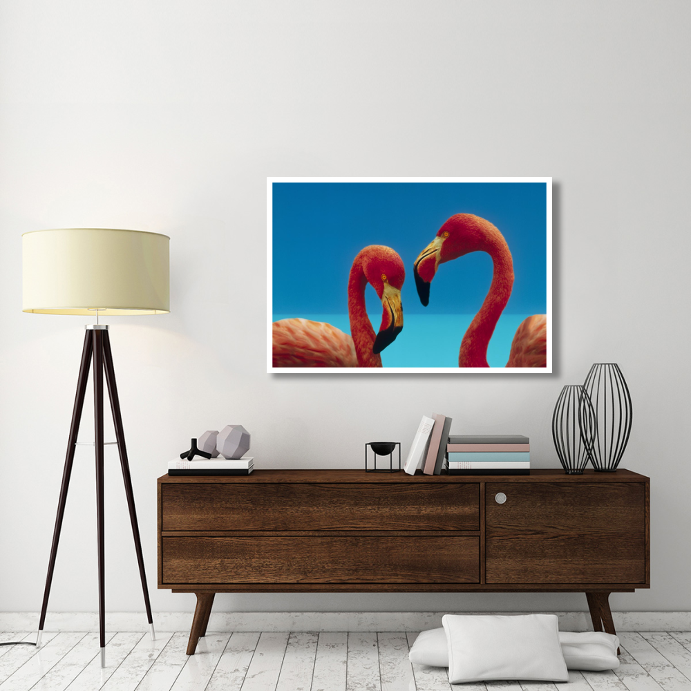 Greater Flamingo courting pair, Caribbean species-Paper Art-50&quotx34"