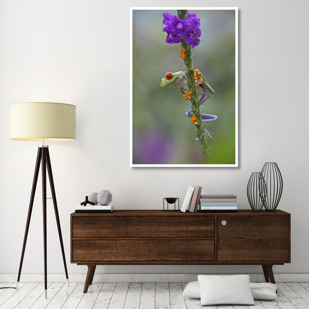 Red-eyed Tree Frog climbing on flower, Costa Rica-Paper Art-42&quotx62"