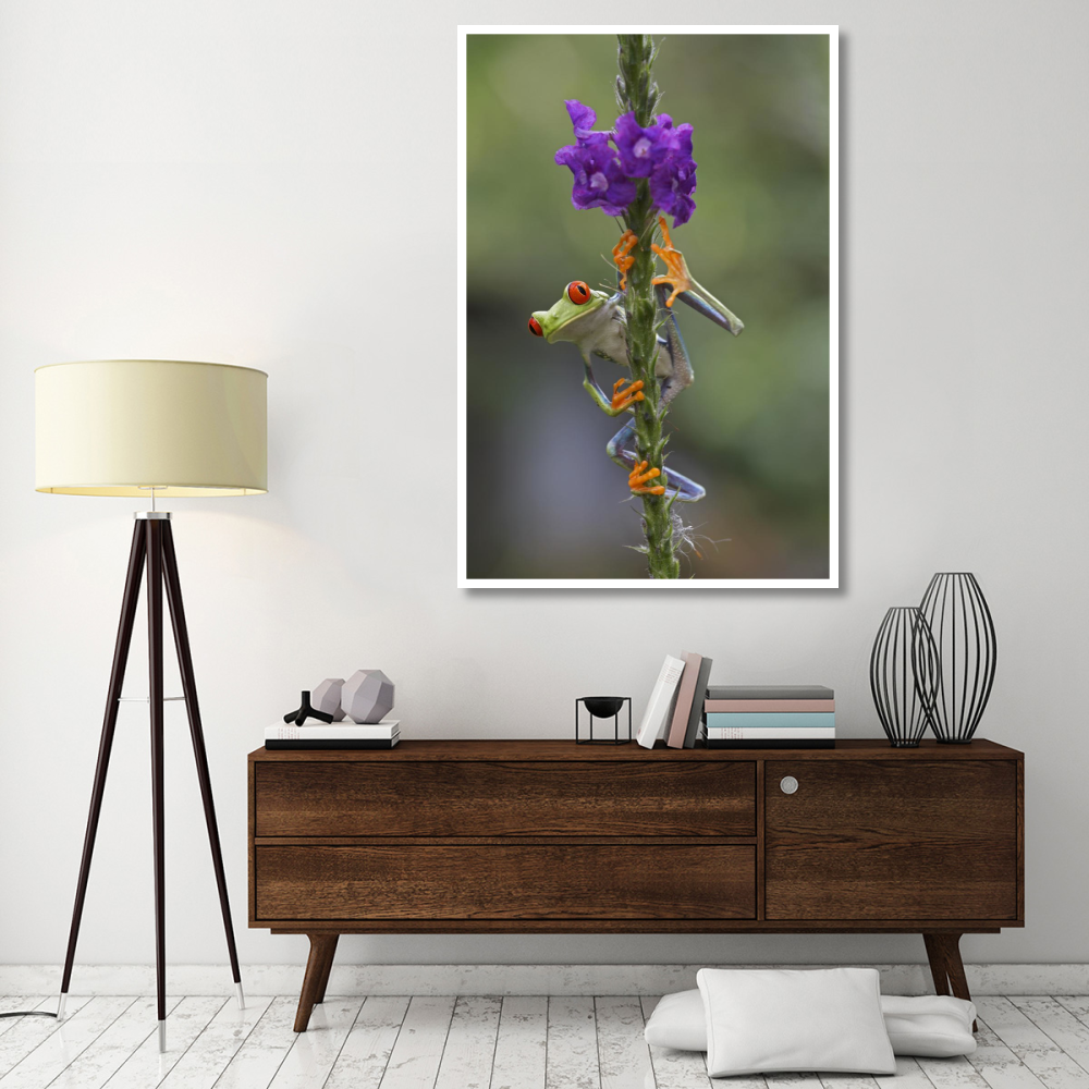 Red-eyed Tree Frog climbing on flower, Costa Rica-Paper Art-42&quotx62"