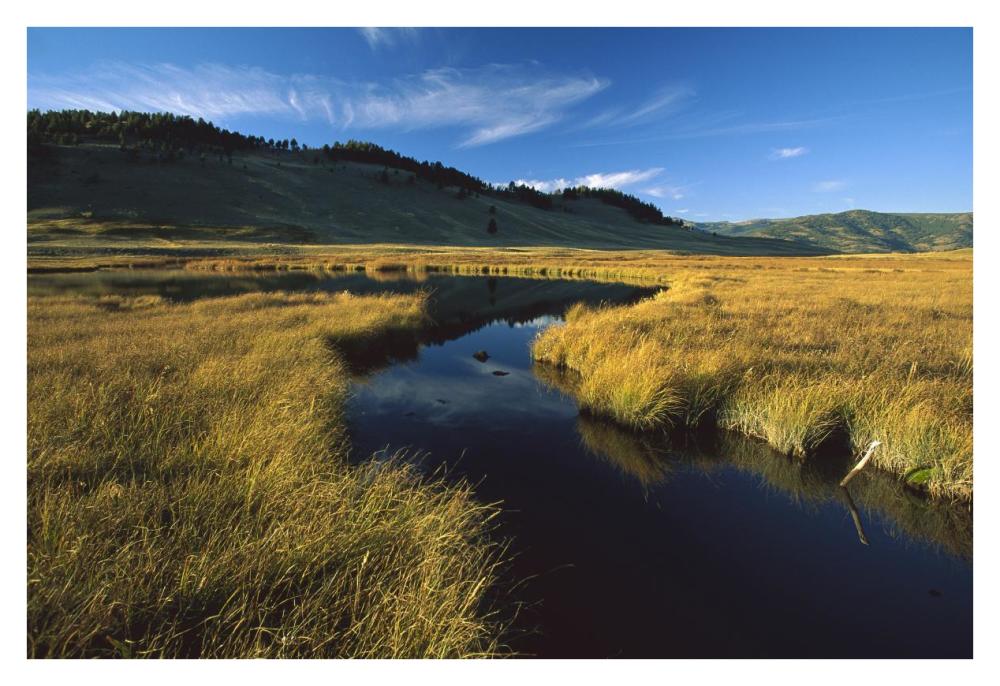 Blacktail Lake, Yellowstone National Park, Wyoming-Paper Art-38"x26"