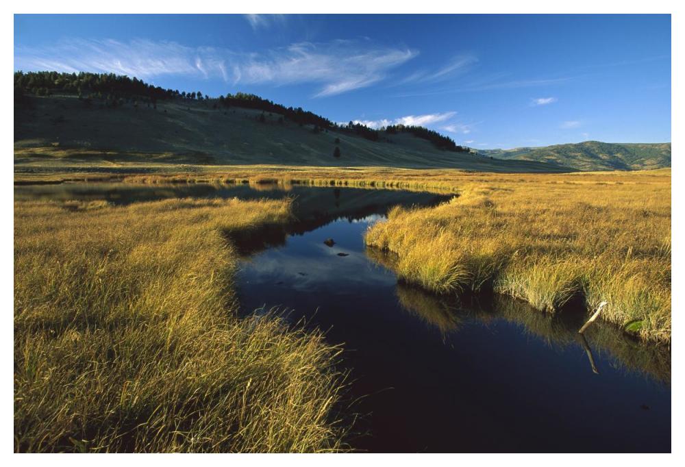 Blacktail Lake, Yellowstone National Park, Wyoming-Paper Art-50"x34"