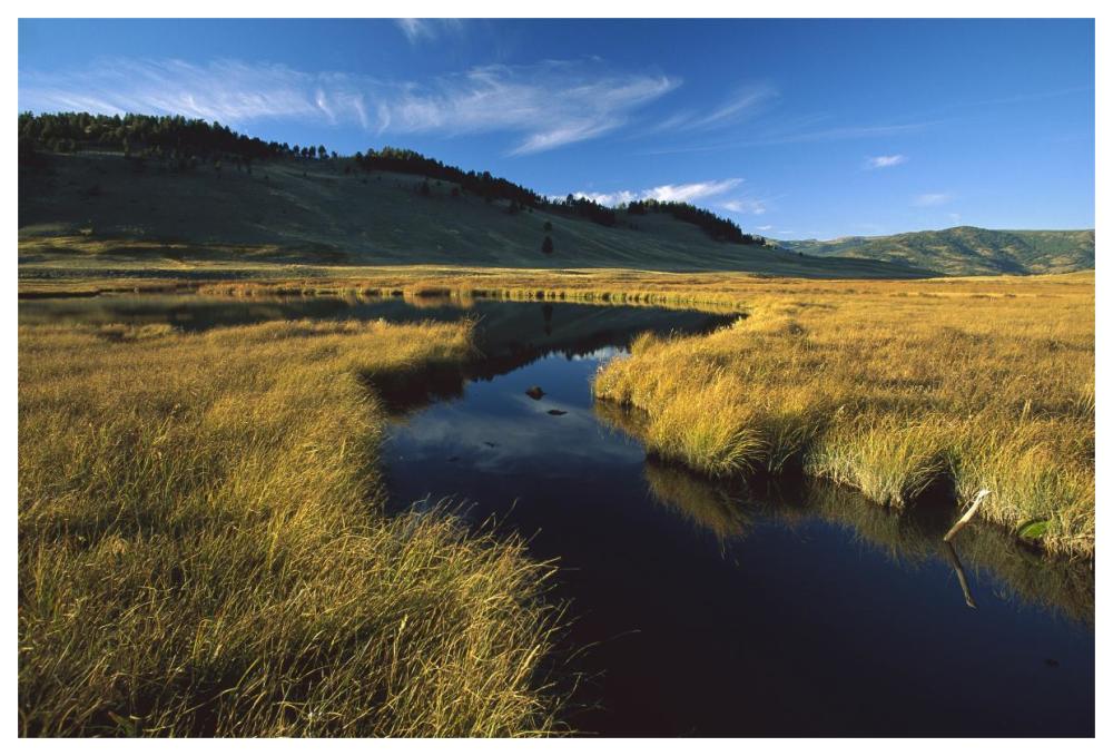 Blacktail Lake, Yellowstone National Park, Wyoming-Paper Art-62"x42"