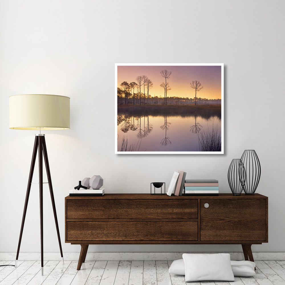 Pineland at Piney Point near Hagen's Cove, Florida-Paper Art-46&quotx38.08"