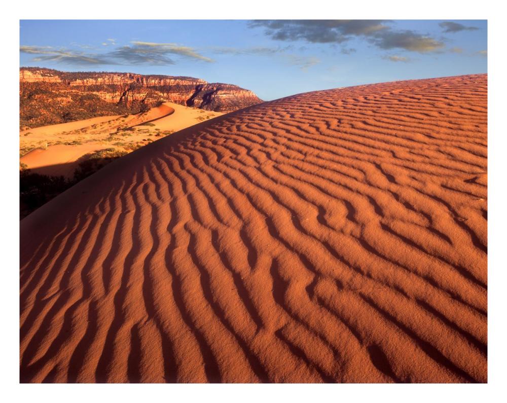 Sand dunes, Coral Pink Sand Dunes State Park, Utah-Paper Art-26"x20"