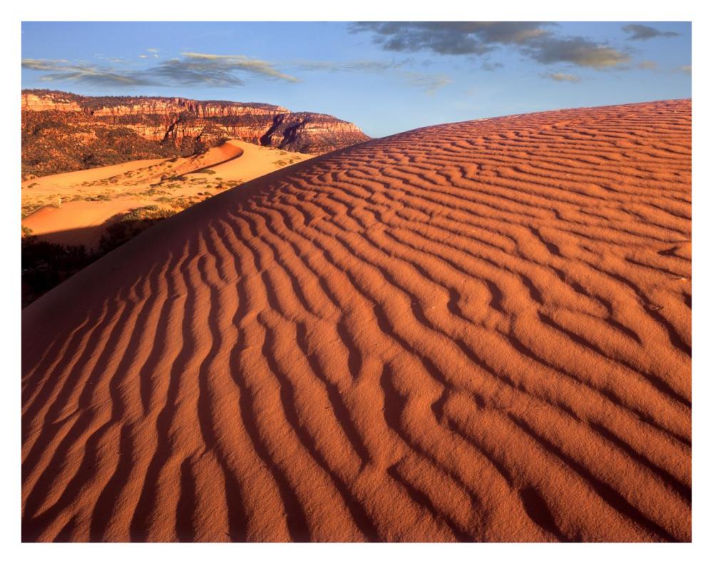 Sand dunes, Coral Pink Sand Dunes State Park, Utah-Paper Art-34"x26"
