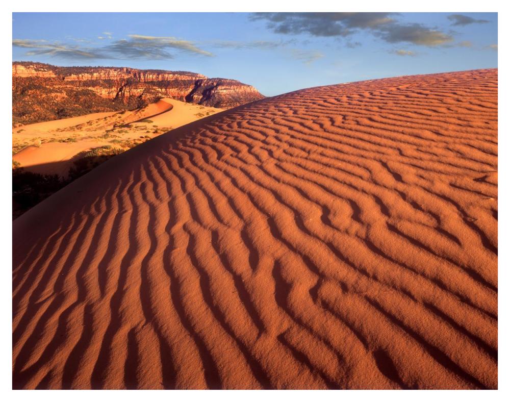 Sand dunes, Coral Pink Sand Dunes State Park, Utah-Paper Art-42"x32"