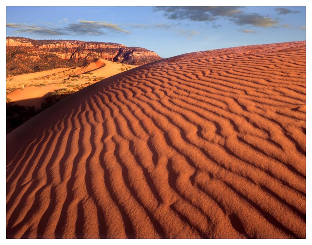 Sand dunes, Coral Pink Sand Dunes State Park, Utah-Paper Art-50"x38"