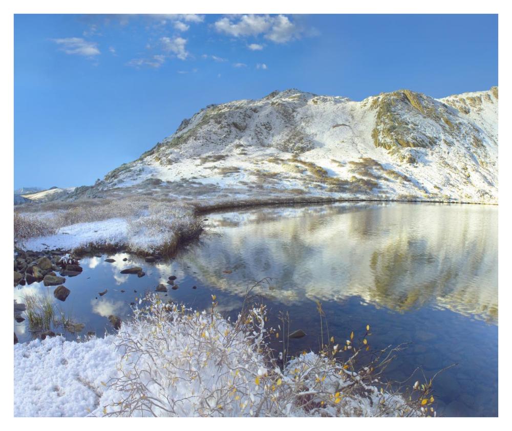 Pond and Geissler Mountain, Linkins Lake, Colorado-Paper Art-38"x31.88"