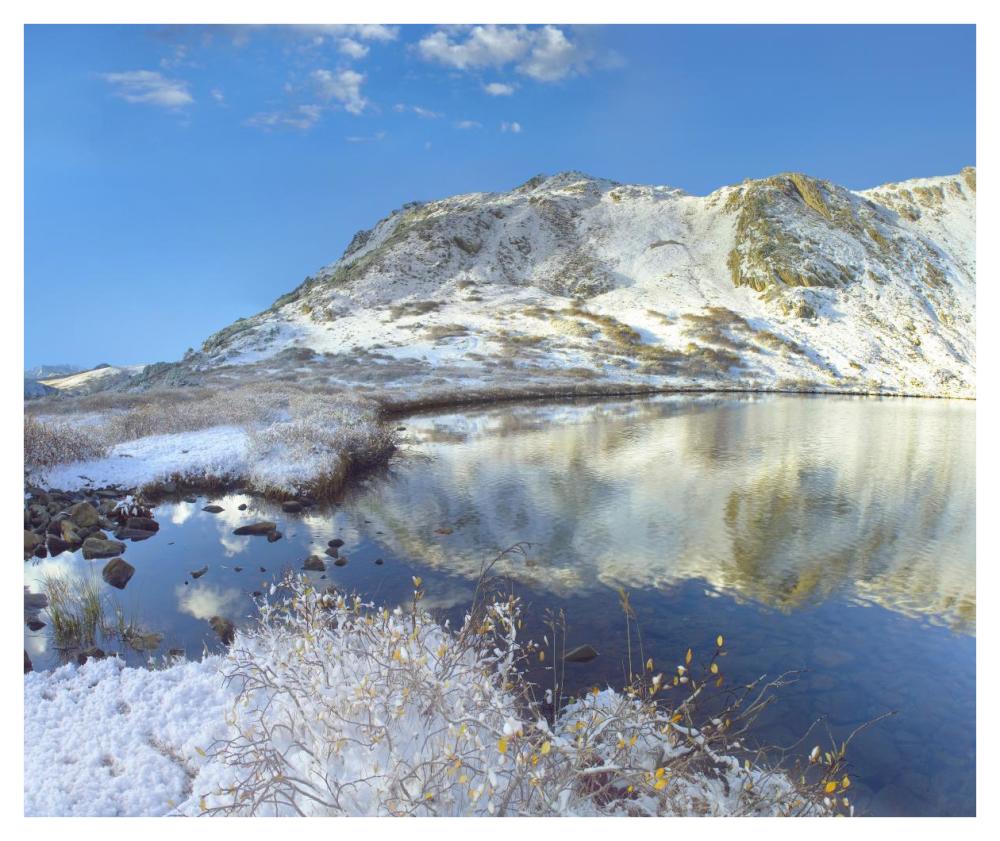 Pond and Geissler Mountain, Linkins Lake, Colorado-Paper Art-42"x35.2"