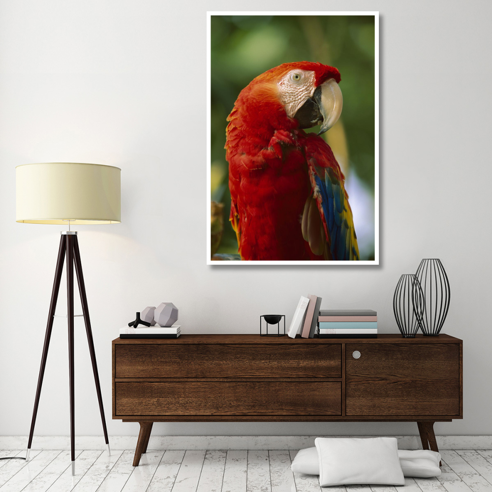 Scarlet Macaw, native to Central and South America-Paper Art-42&quotx62"