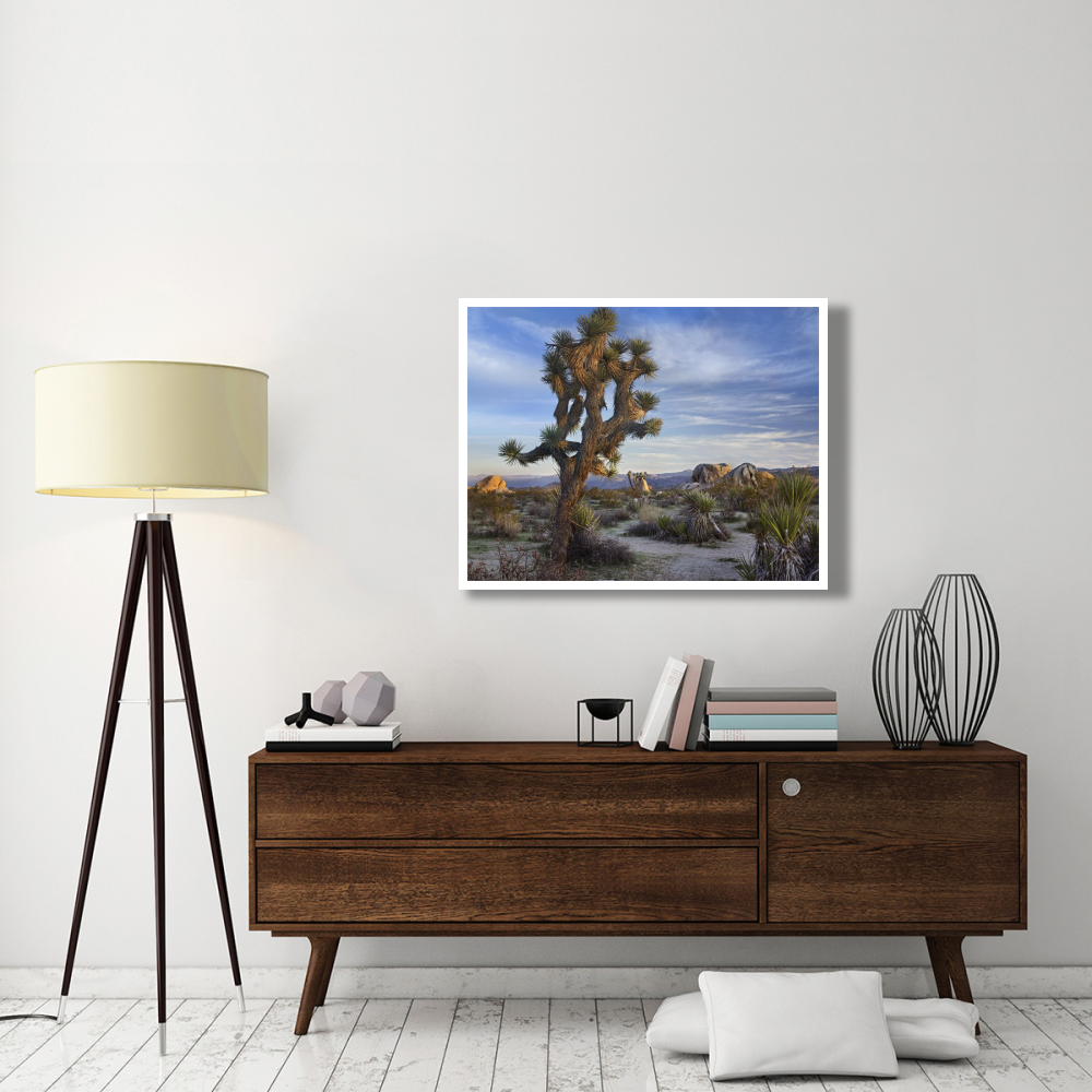 Joshua Tree, Joshua Tree National Park, California-Paper Art-42&quotx32"