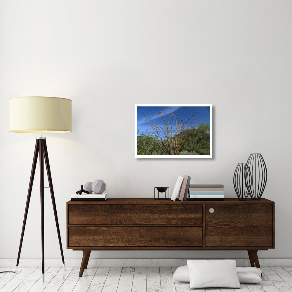 Ocotillo Saguaro Greasewood and Palo Verde Arizona-Paper Art-32&quotx22"