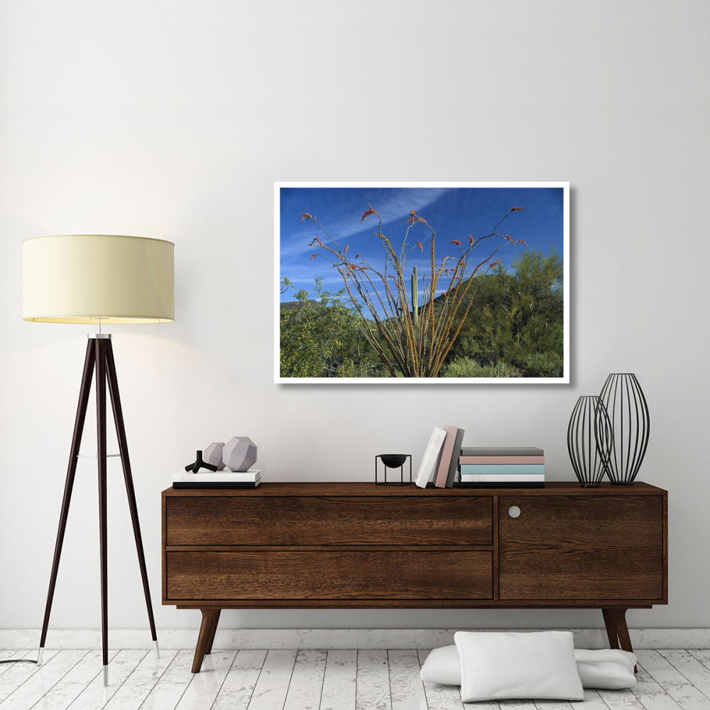 Ocotillo Saguaro Greasewood and Palo Verde Arizona-Paper Art-50&quotx34"