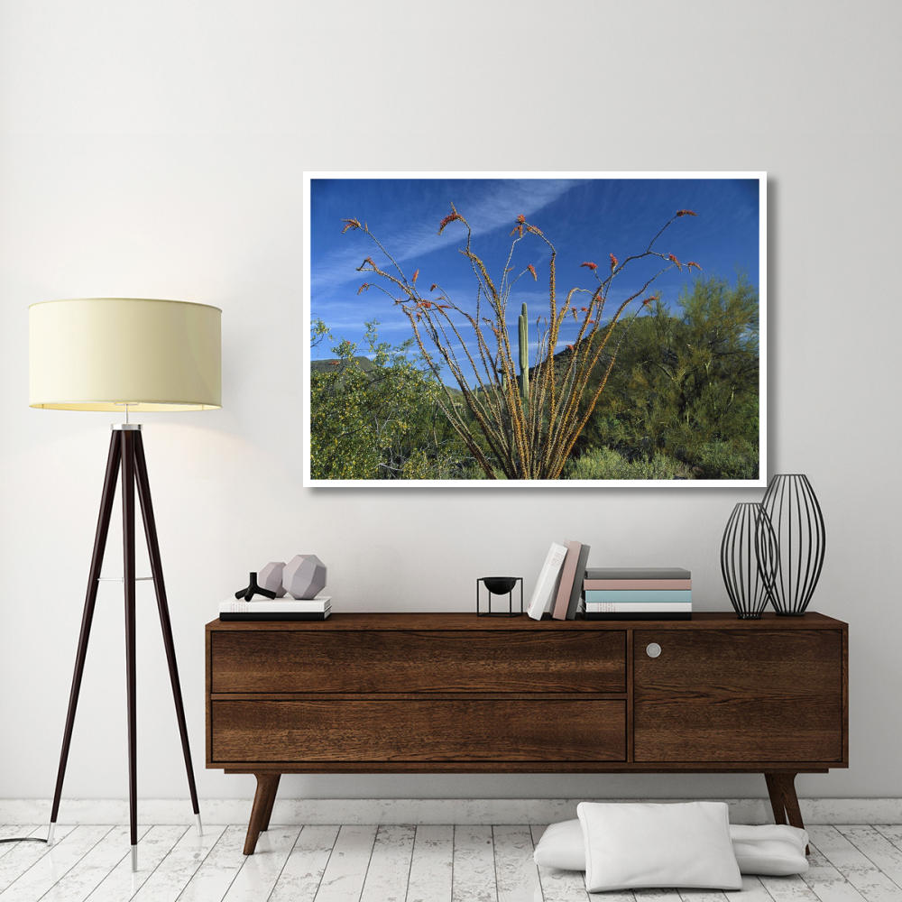Ocotillo Saguaro Greasewood and Palo Verde Arizona-Paper Art-62&quotx42"