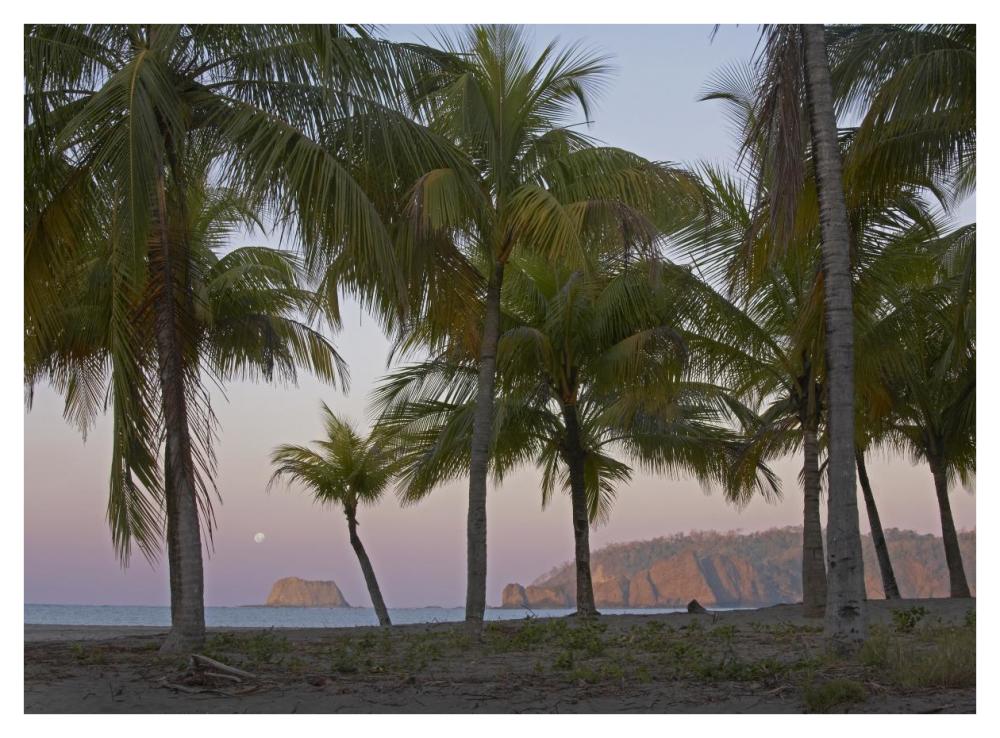 Moon setting, Playa Carillo, Guanacaste, Costa Rica-Paper Art-42"x32"