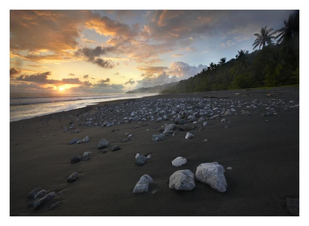 Rocks on beach, Corcovado National Park, Costa Rica-Paper Art-32"x23.3"