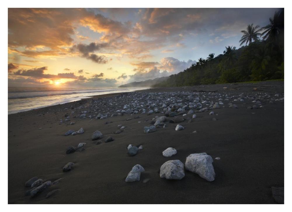 Rocks on beach, Corcovado National Park, Costa Rica-Paper Art-38"x27.56"