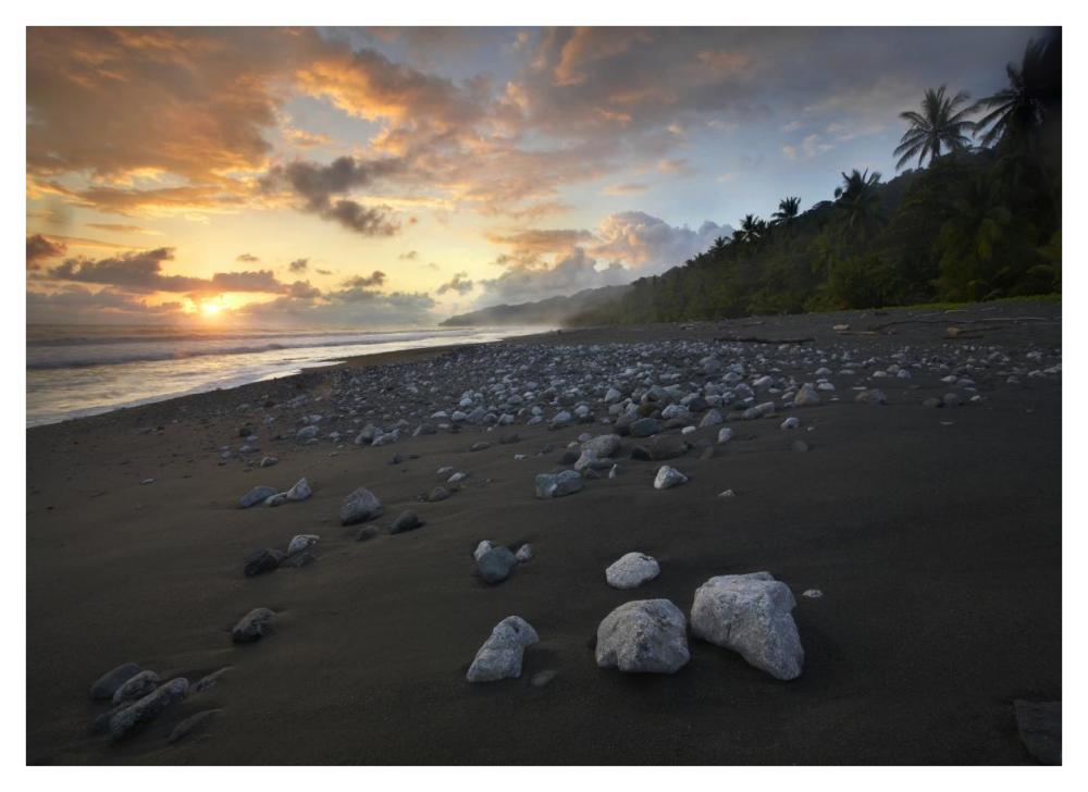 Rocks on beach, Corcovado National Park, Costa Rica-Paper Art-42"x30.4"