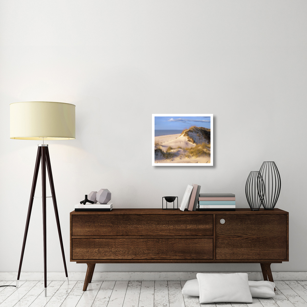 Coastal sand dunes, Saint Joseph Peninsula, Florida-Paper Art-24&quotx20.26"