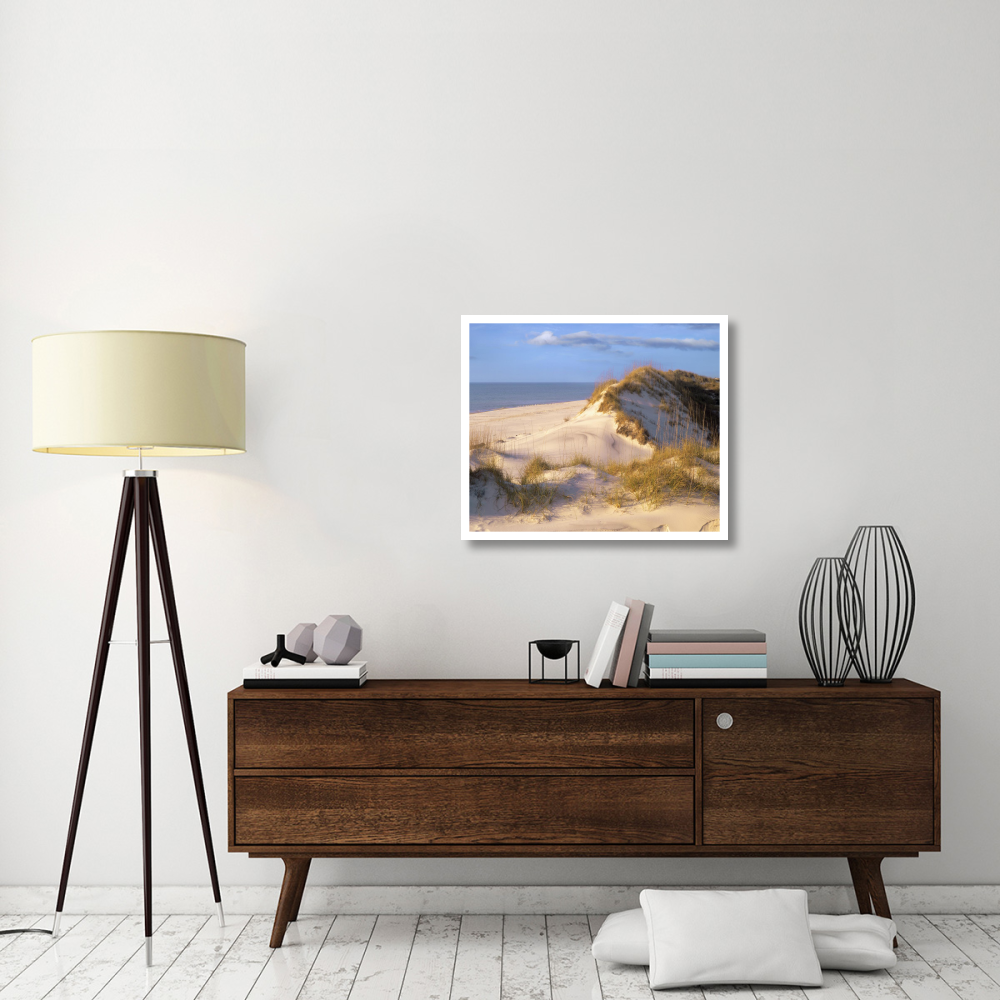 Coastal sand dunes, Saint Joseph Peninsula, Florida-Paper Art-32&quotx26.9"