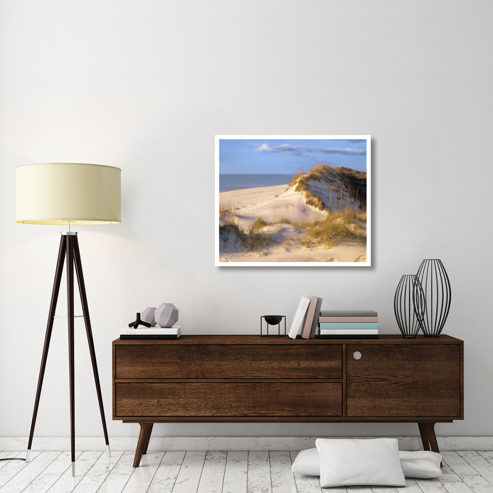 Coastal sand dunes, Saint Joseph Peninsula, Florida-Paper Art-38&quotx31.88"