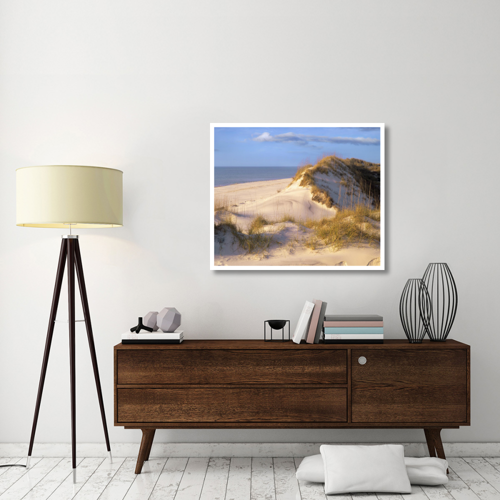 Coastal sand dunes, Saint Joseph Peninsula, Florida-Paper Art-42&quotx35.2"
