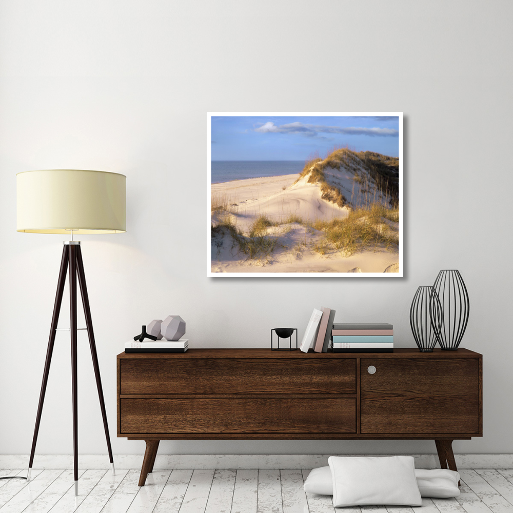 Coastal sand dunes, Saint Joseph Peninsula, Florida-Paper Art-46&quotx38.52"