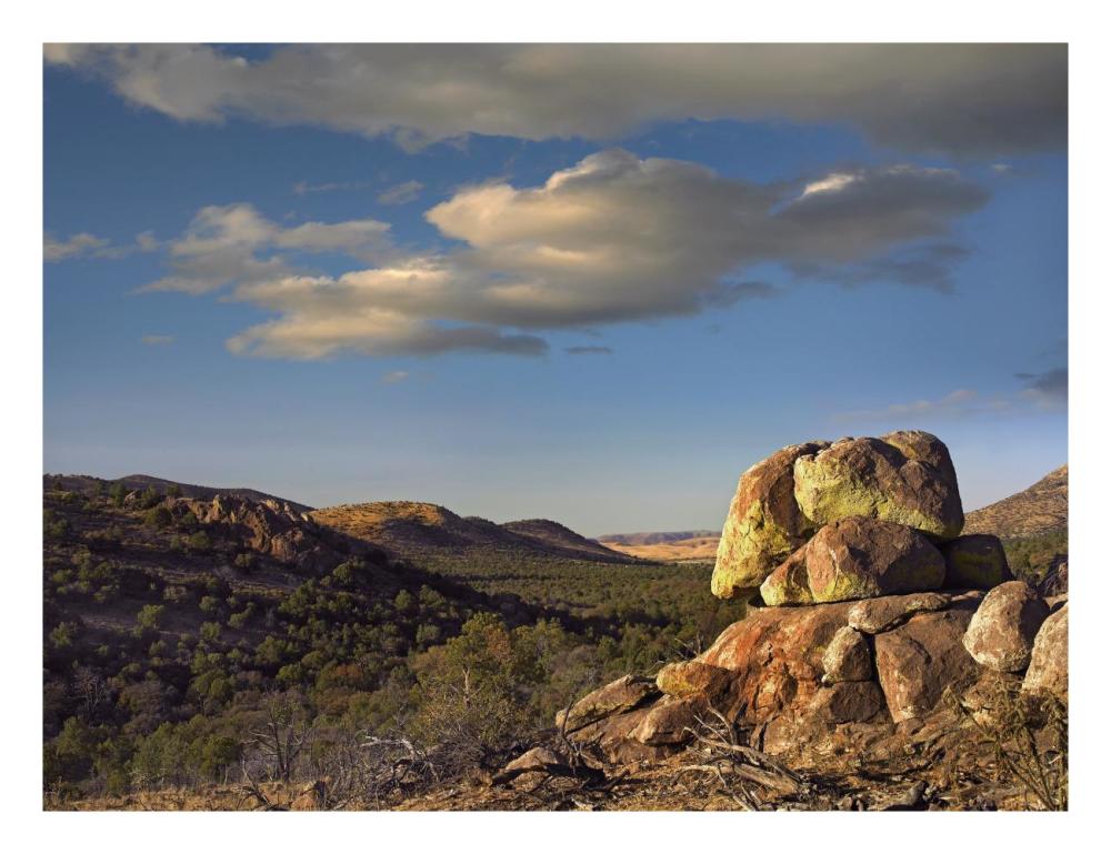Rockpile, Davis Mountains, Chihuahuan Desert, Texas-Paper Art-26"x20"