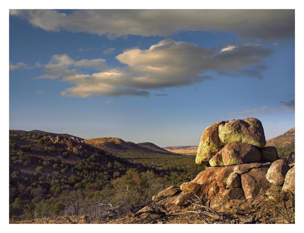 Rockpile, Davis Mountains, Chihuahuan Desert, Texas-Paper Art-34"x26"