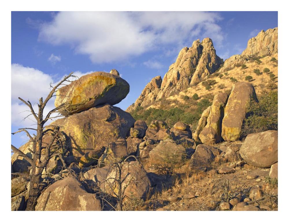 Rockpile, Davis Mountains, Chihuahuan Desert, Texas-Paper Art-26"x20"