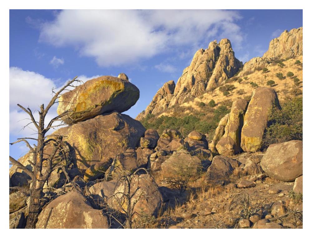 Rockpile, Davis Mountains, Chihuahuan Desert, Texas-Paper Art-34"x26"