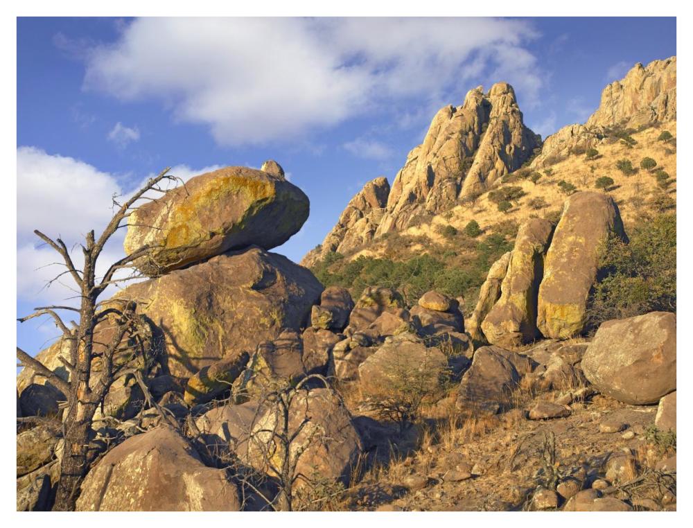Rockpile, Davis Mountains, Chihuahuan Desert, Texas-Paper Art-42"x32"